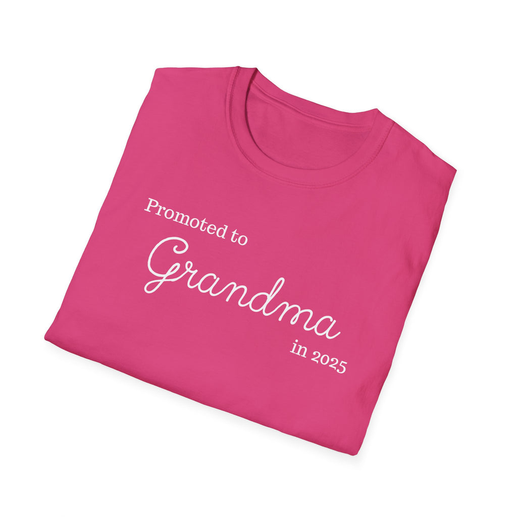 Promoted to Grandma in 2025 T-Shirt
