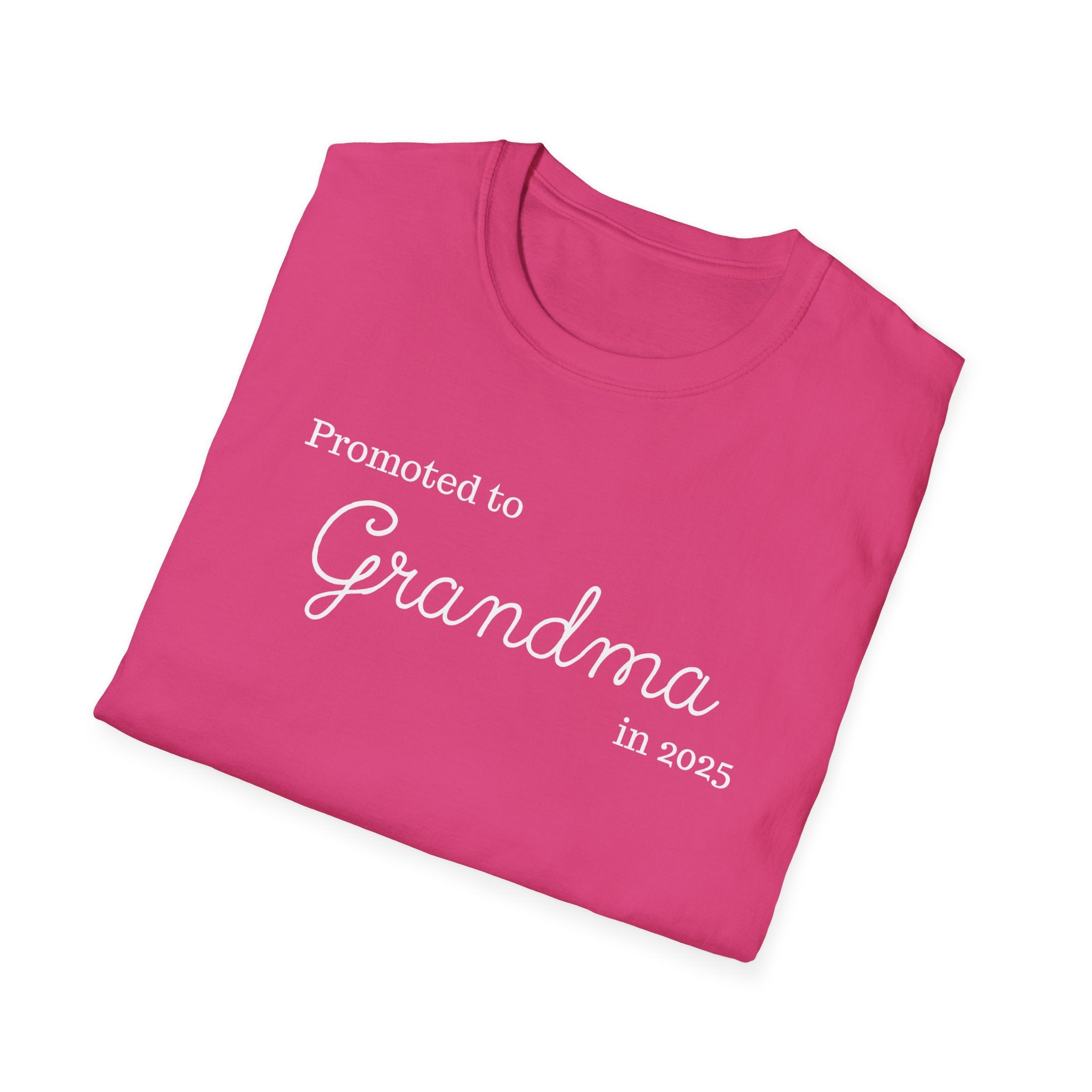 Promoted to Grandma in 2025 T-Shirt