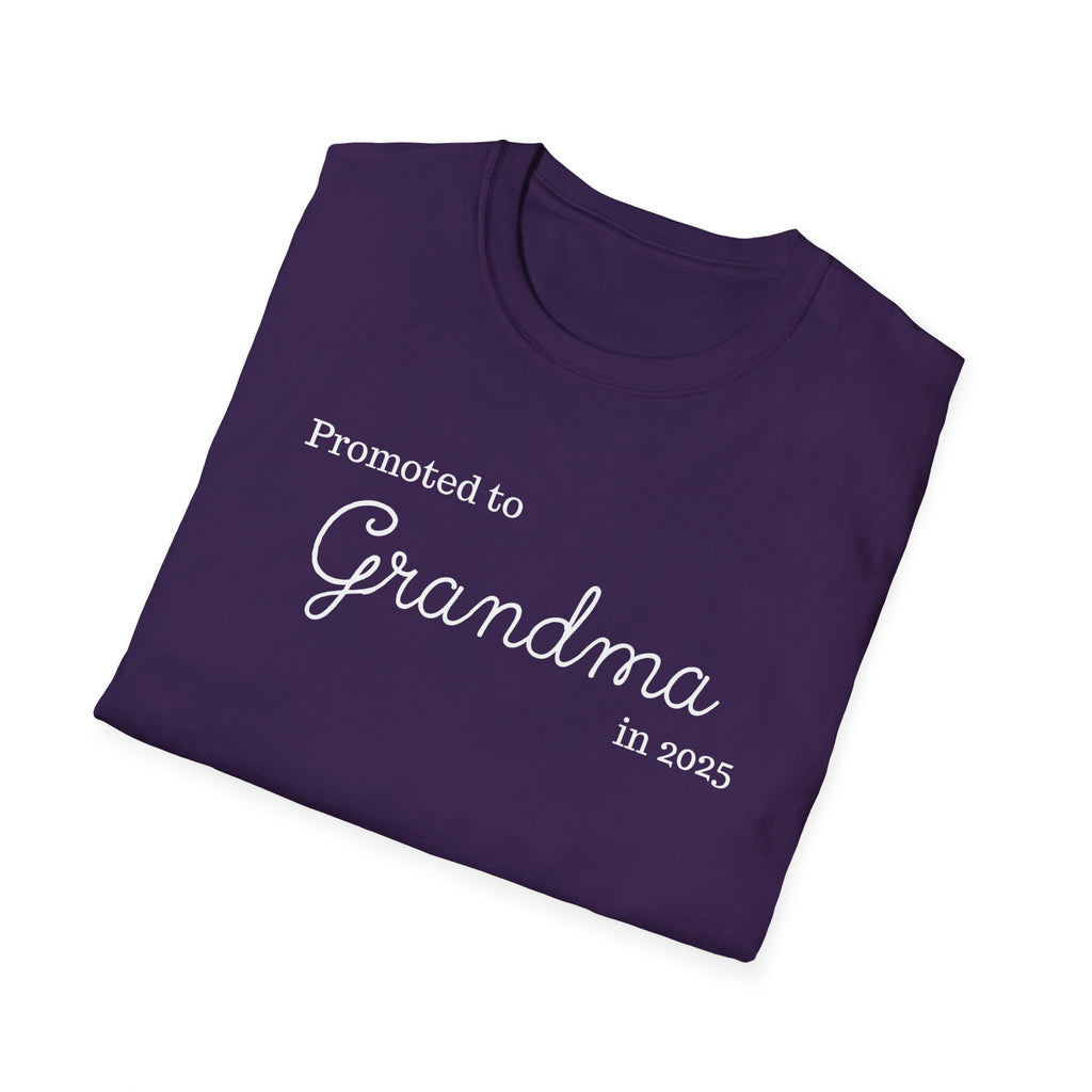 Promoted to Grandma in 2025 T-Shirt