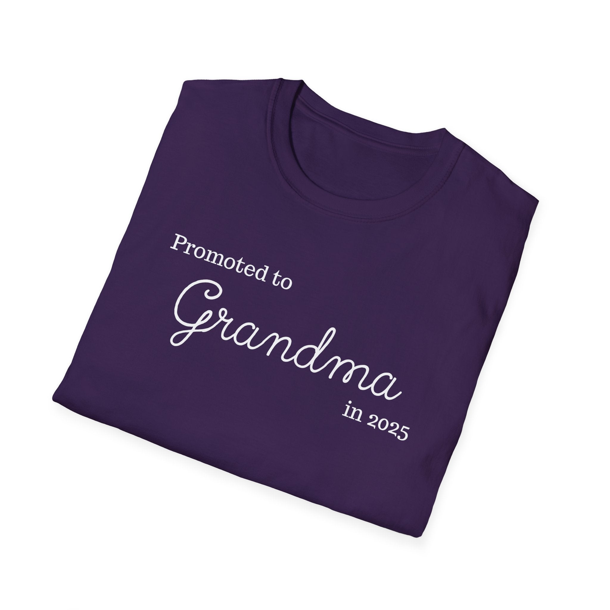 Promoted to Grandma in 2025 T-Shirt