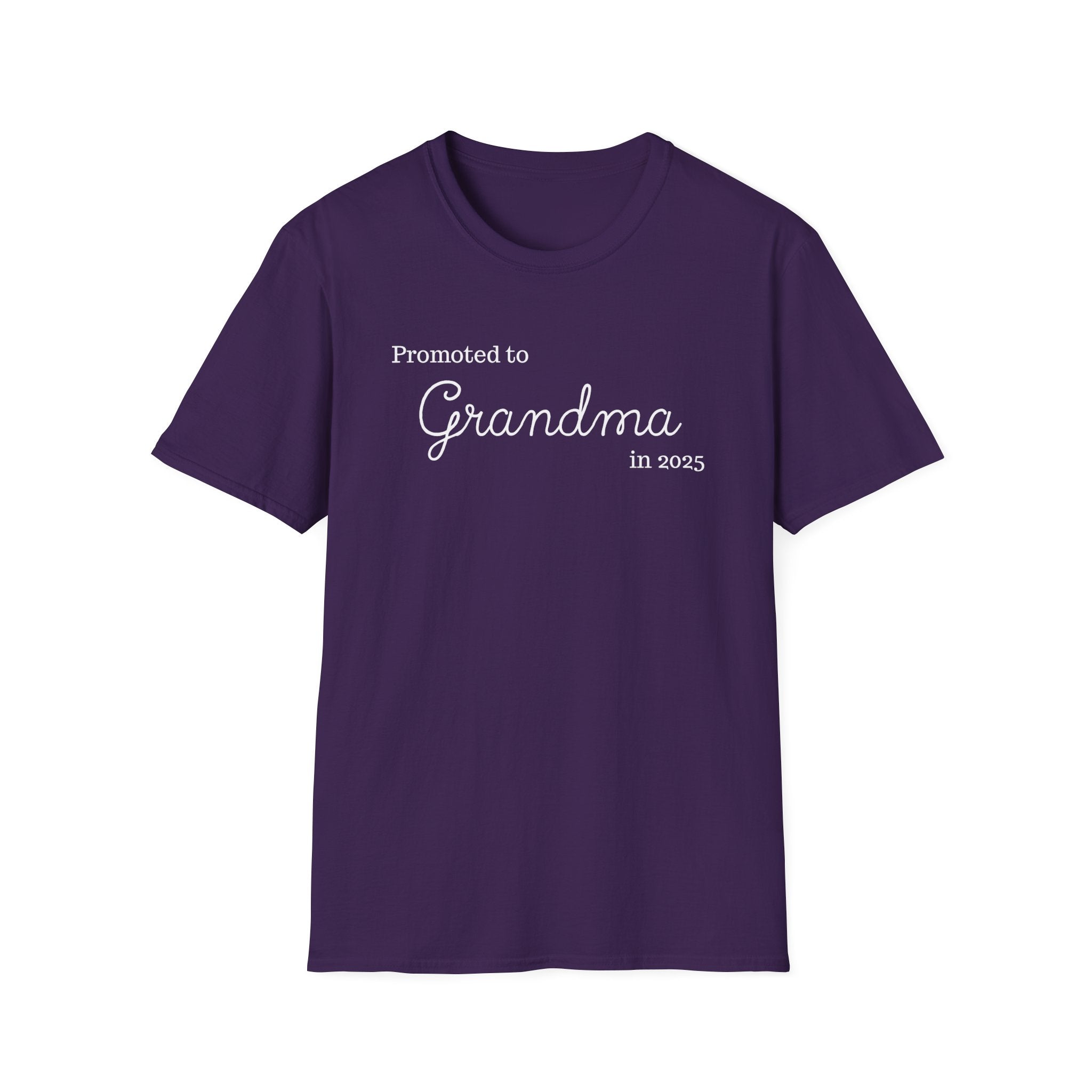 Promoted to Grandma in 2025 T-Shirt