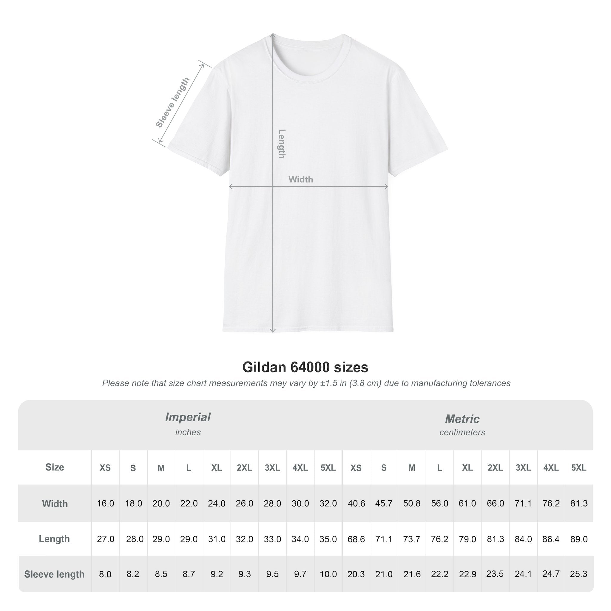 Dad Level Unlocked T-Shirt