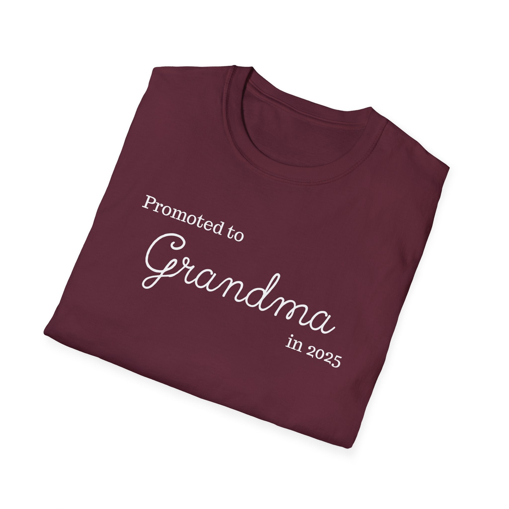 Promoted to Grandma in 2025 T-Shirt
