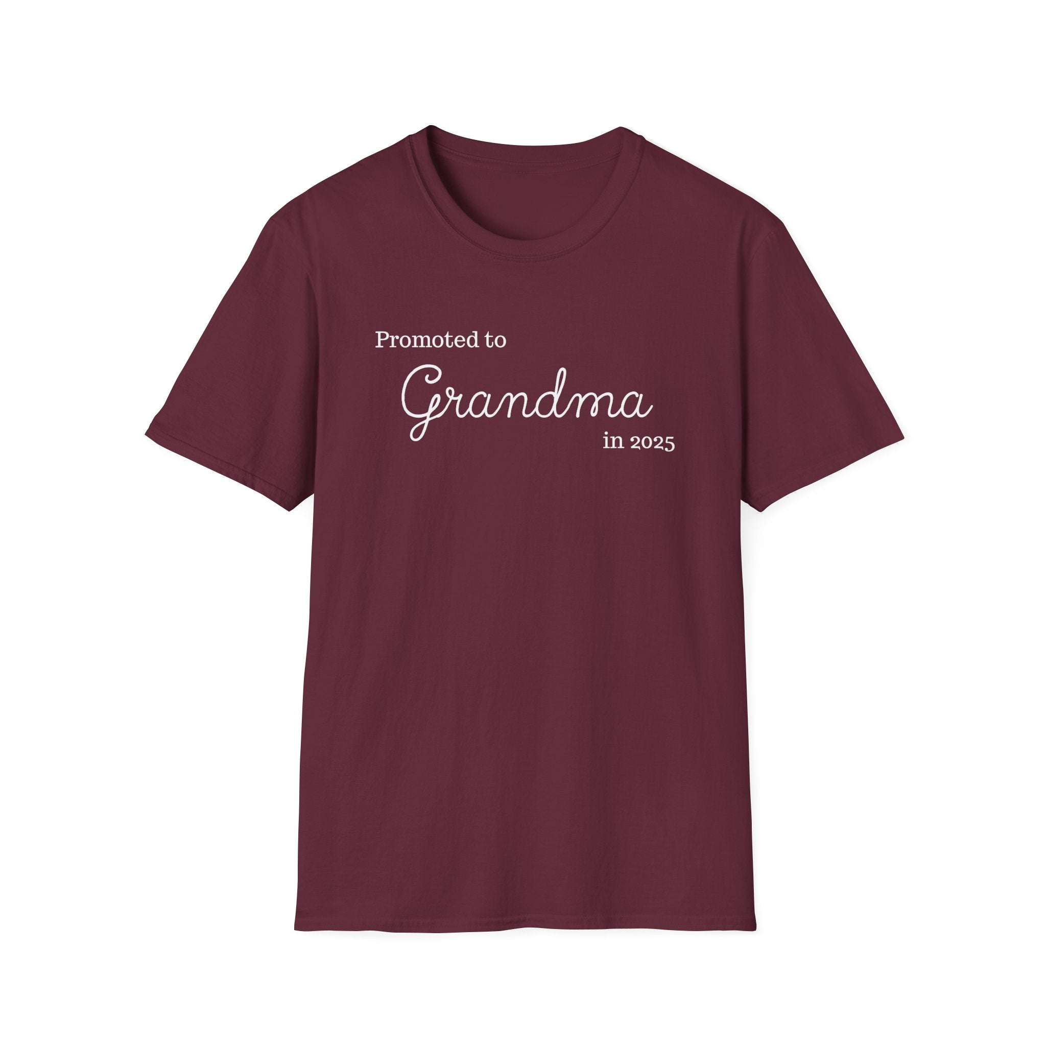 Promoted to Grandma in 2025 T-Shirt