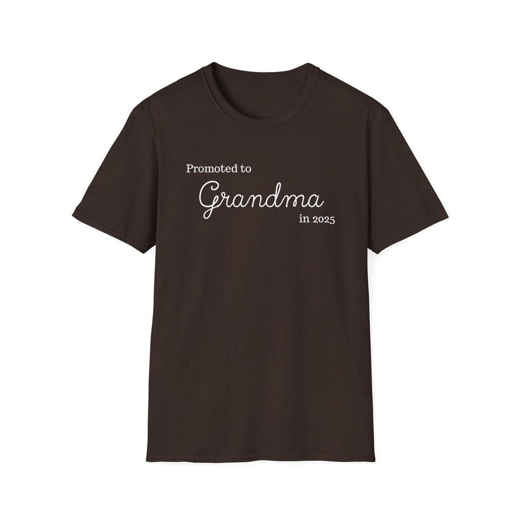 Promoted to Grandma in 2025 T-Shirt