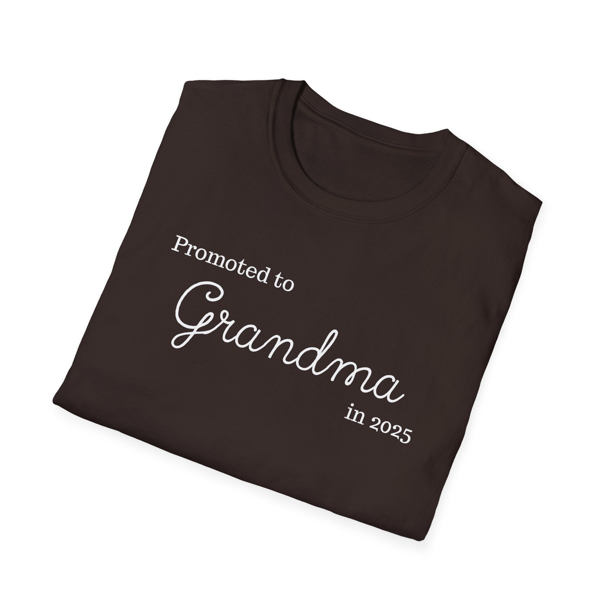 Promoted to Grandma in 2025 T-Shirt